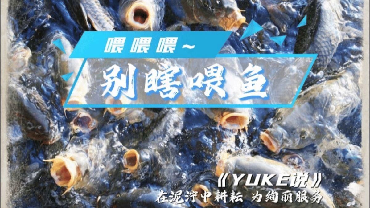 有哪些養(yǎng)魚口訣是通用的