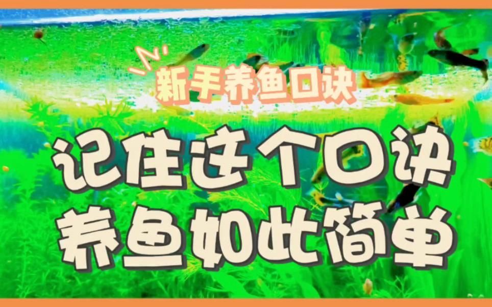 有哪些養(yǎng)魚口訣是通用的