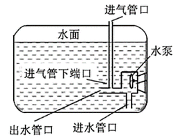 缺氧魚急救后如何護理，缺氧魚急救后如何護理缺氧魚急救后護理全流程指南