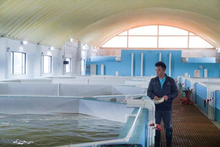 瓊山龍魚有哪些著名的養殖基地?,海南瓊山龍魚養殖基地