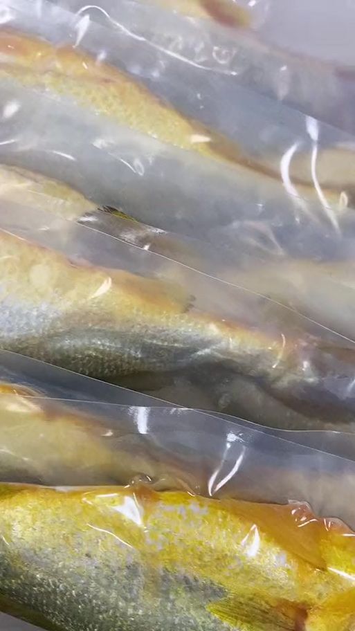 雪龍魚有哪些認證？，雪龍魚有哪些認證