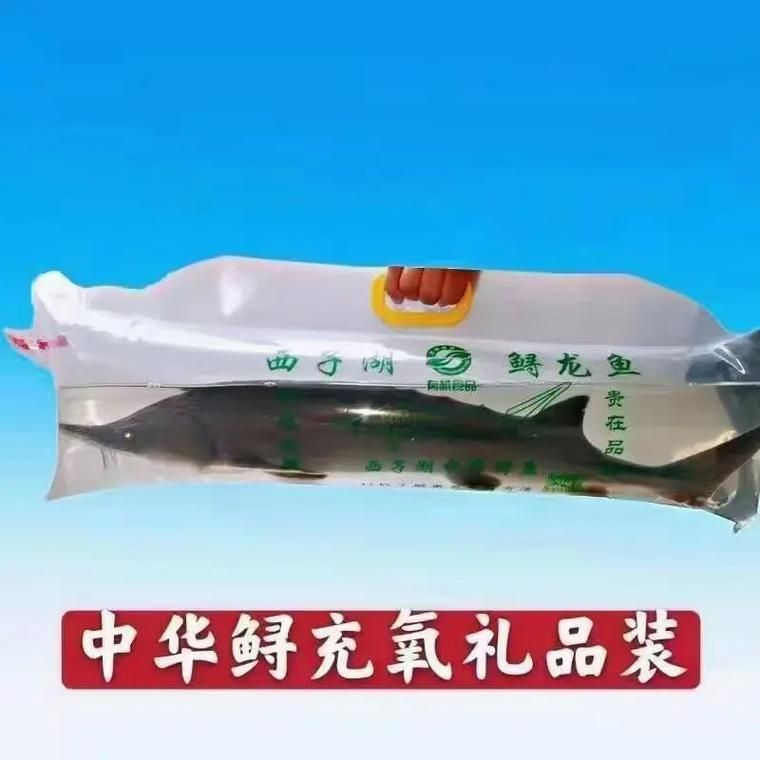 雪龍魚有哪些認證？，雪龍魚有哪些認證