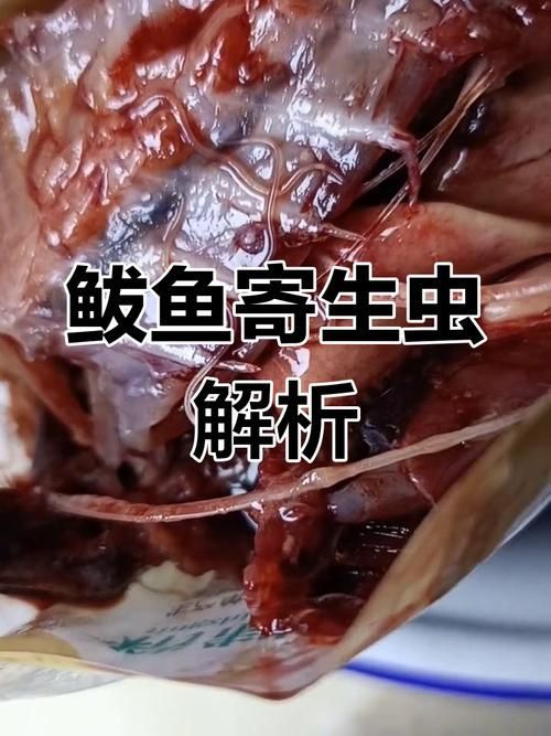 能否提供更多關(guān)于鲅魚寄生蟲的圖片，關(guān)于鲅魚寄生蟲的一些建議
