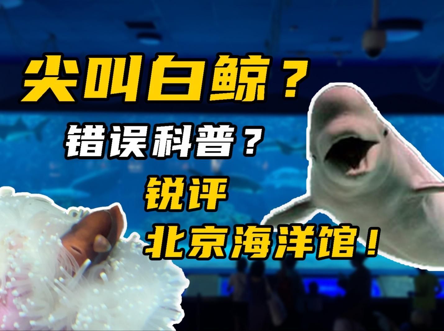 有哪些信譽良好的水族機構推薦，信譽良好的水族機構推薦