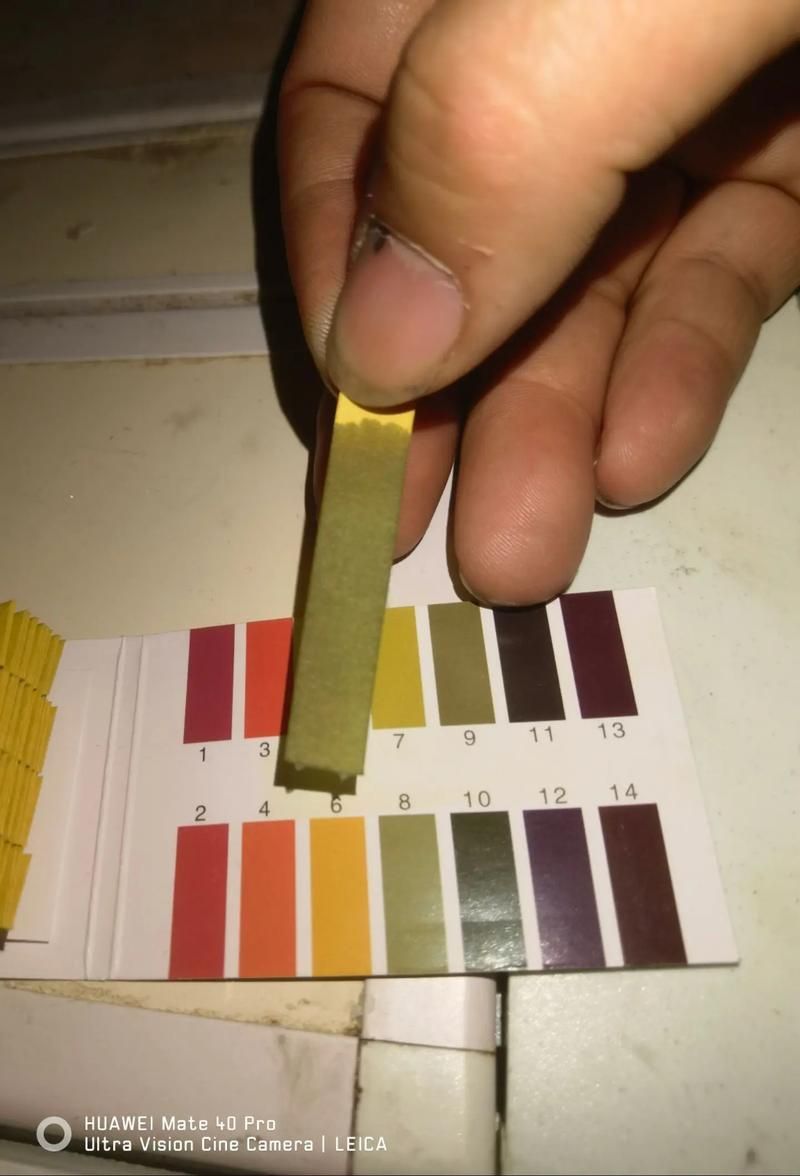 如何改善赫舞紅龍魚的水質，如何改善赫舞紅龍魚水質