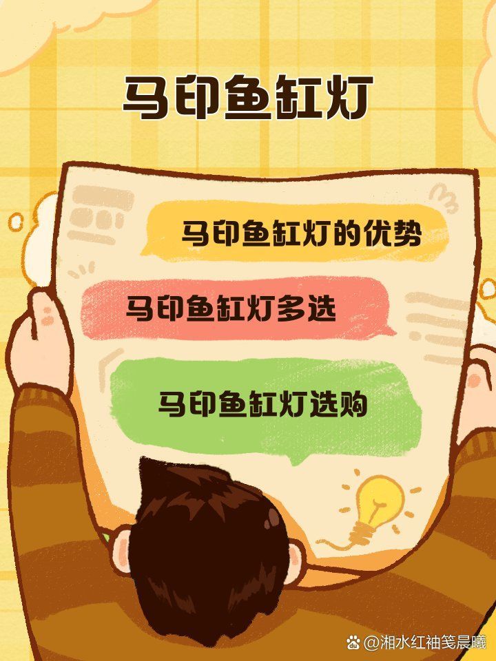 有哪些品牌的龍魚燈性價比最高？，哪些品牌的龍魚燈性價比最高？