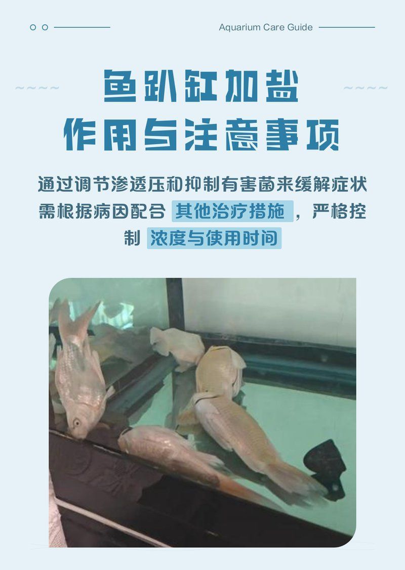 魚趴缸加鹽有用嗎，魚趴缸加鹽有用嗎,
