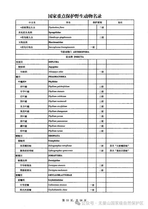 如何合法地食用其他保護動物,2020年全國人大常委會澄清:如何合法地食用其他保護動物