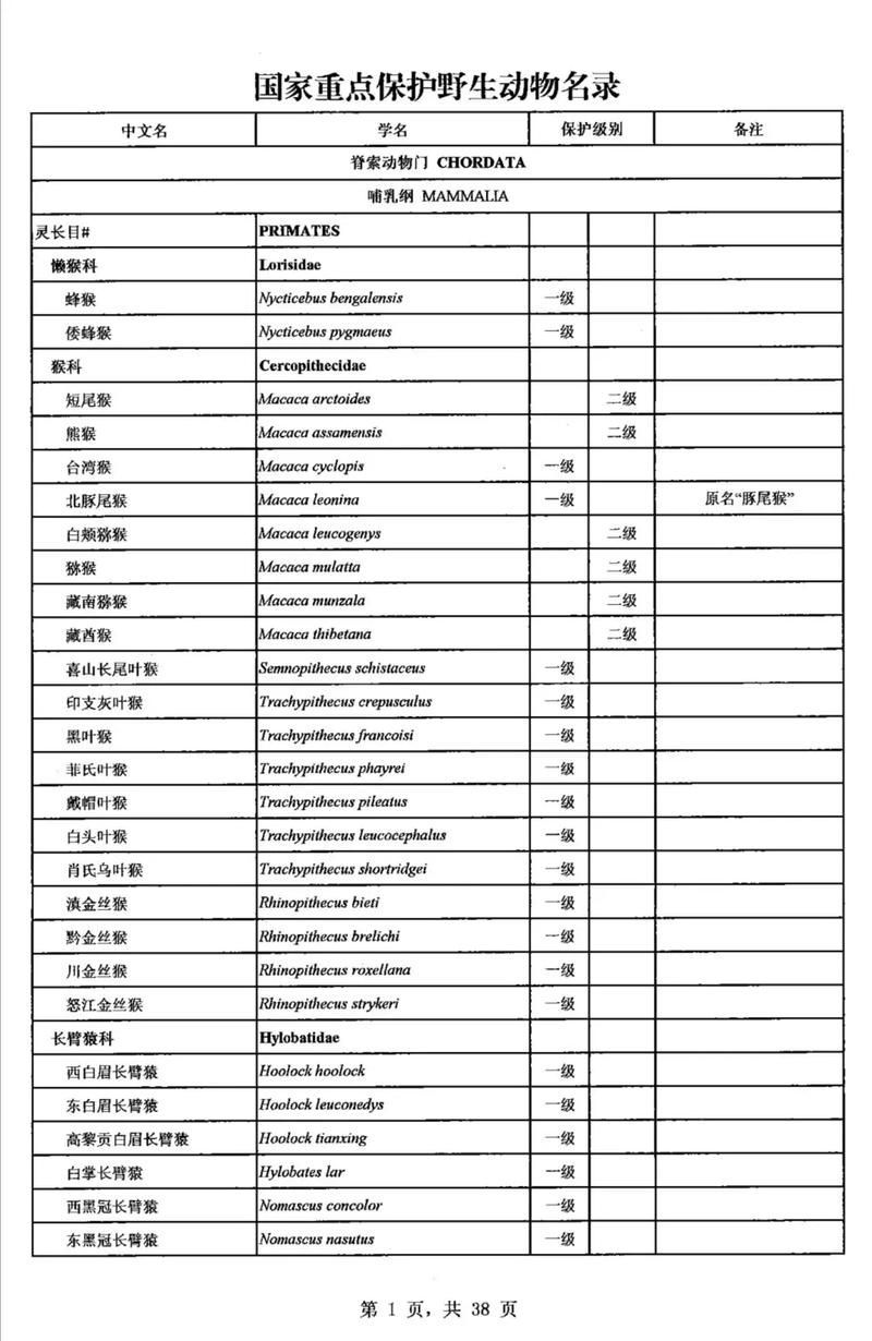 如何合法地食用其他保護動物，2020年全國人大常委會澄清：如何合法地食用其他保護動物