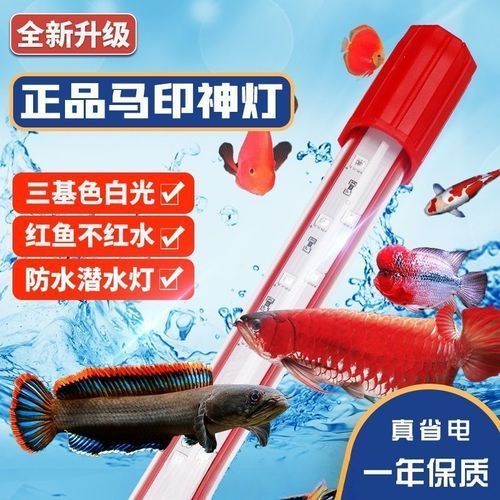 龍魚燈的最佳購買品牌推薦，龍魚燈品牌推薦：龍魚燈品牌推薦及選購指南
