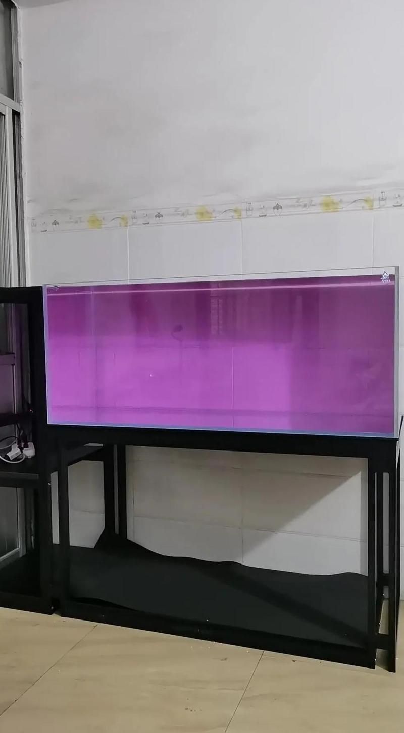 有哪些適合新手的養魚工具，新手養魚工具清單表