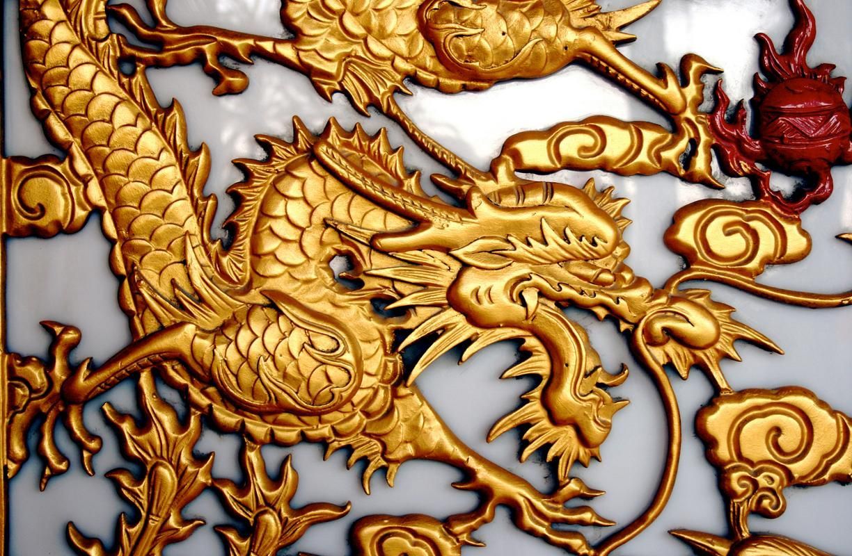 能給出更多古典金龍和過背金龍的圖片嗎，古典金龍和過背金龍的區別