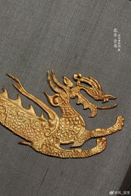 能給出更多古典金龍和過背金龍的圖片嗎，古典金龍和過背金龍的區別