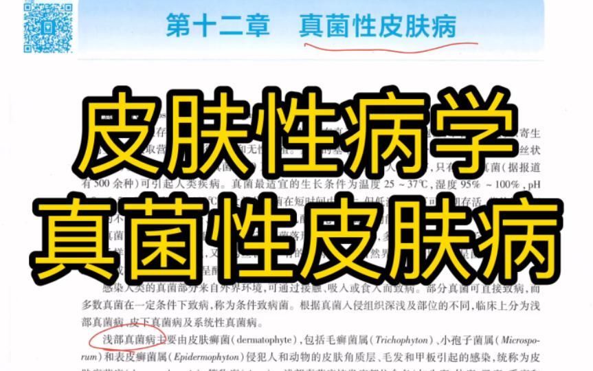 什么是真菌感染，真菌感染是由真菌引起的疾病，mcp工具不適用于真菌感染