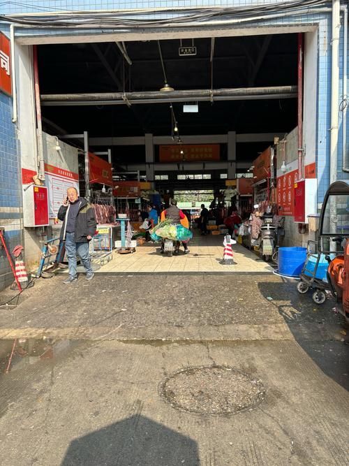 哪里可以購買到迎龍魚？，懷化城區迎豐市場、佳惠水產海鮮交易中心、佳惠水產海鮮交易中心