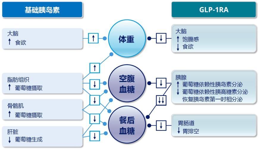 有哪些常見的聯合用藥方案，acei+利尿劑聯合用藥方案信息整理完成