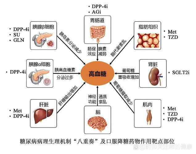 有哪些常見的聯合用藥方案，acei+利尿劑聯合用藥方案信息整理完成