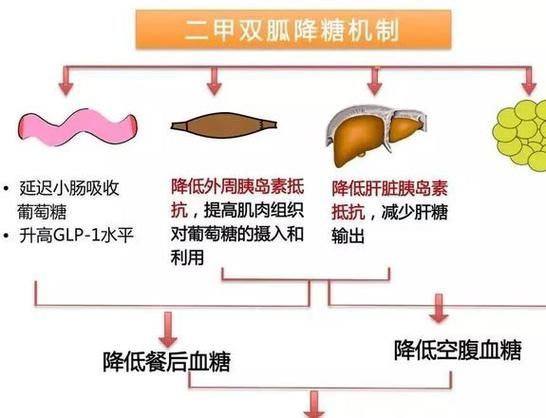 有哪些常見的聯合用藥方案，acei+利尿劑聯合用藥方案信息整理完成