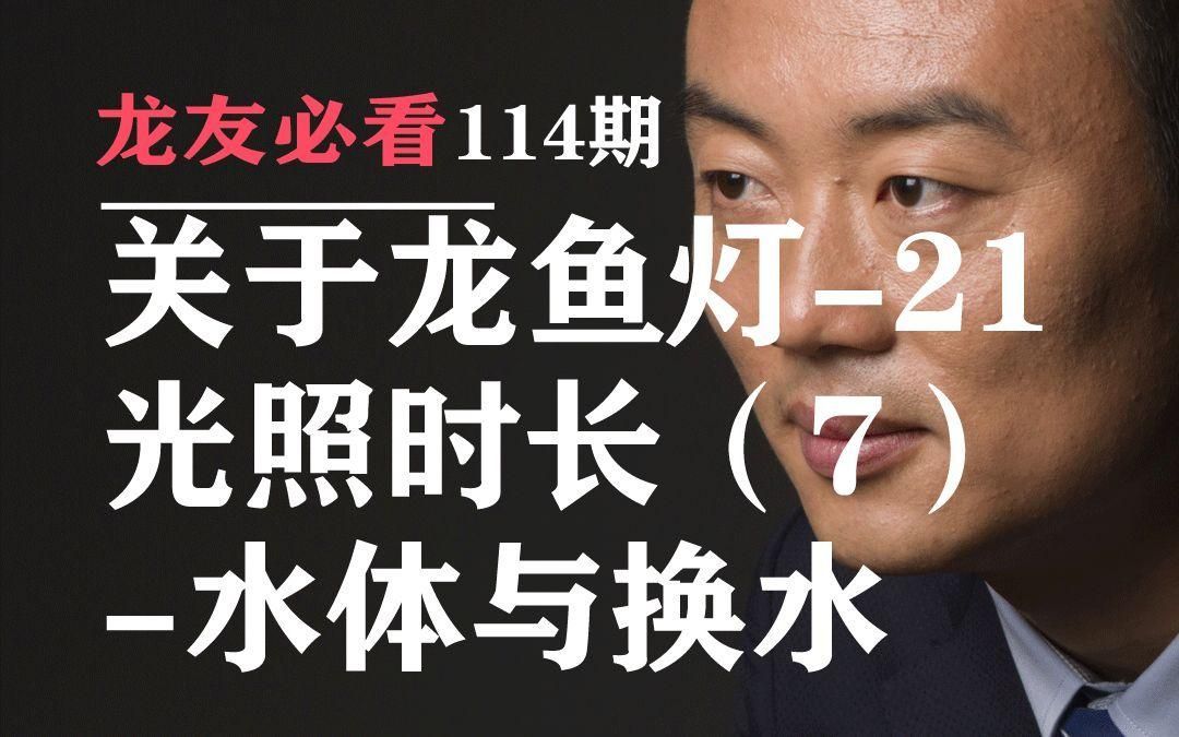 龍魚趴缸時應該開燈還是關燈？，龍魚趴缸時應考慮光照對龍魚行為的影響，開燈可以模擬自然光環境