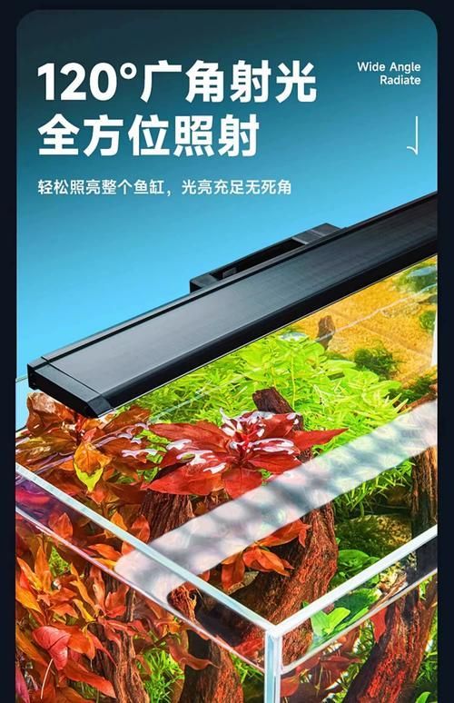 益科達YEE哪個型號最受歡迎，益科達yee魚缸燈哪個型號最受歡迎益科達yee哪個型號最受歡迎