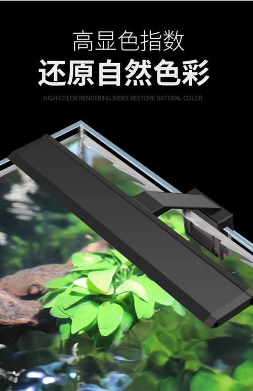 益科達YEE哪個型號最受歡迎，益科達yee魚缸燈哪個型號最受歡迎益科達yee哪個型號最受歡迎