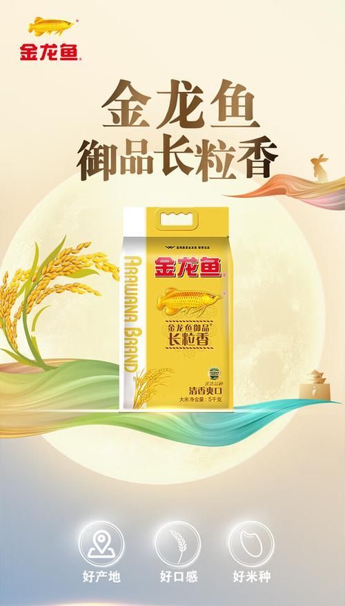 金龍魚方正長粒香新米有哪些規格可選，金龍魚方正長粒香新米有哪些規格可選金龍魚方正長粒香新米