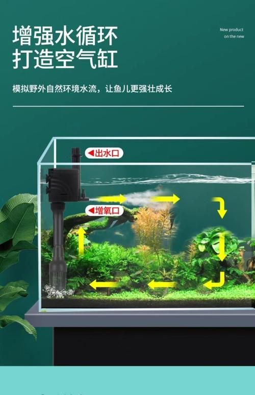 如何預(yù)防龍魚浮頭現(xiàn)象，如何預(yù)防龍魚浮頭現(xiàn)象調(diào)用工具arxiv論文助手