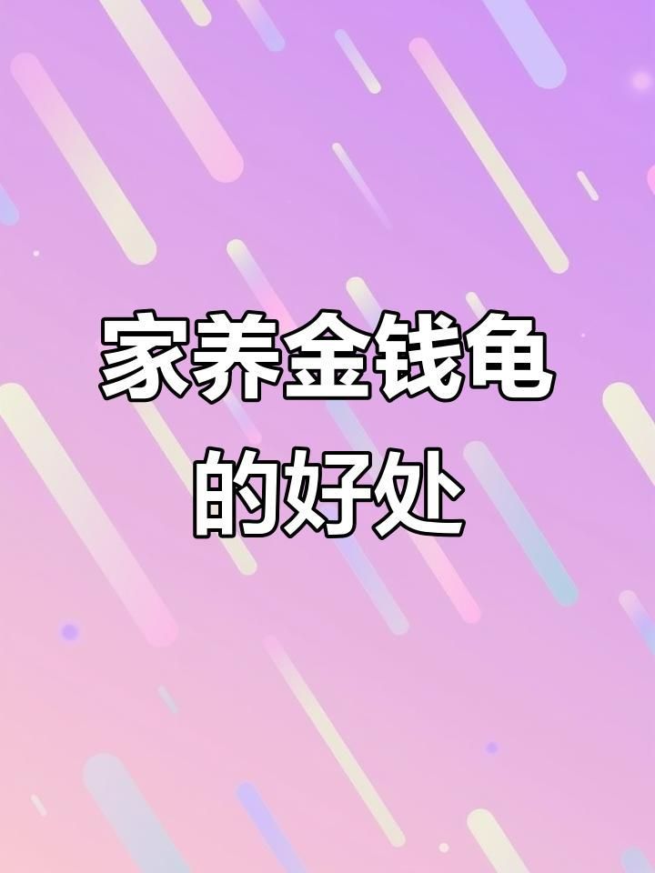 什么龜鎮宅招財最強，什么龜鎮宅招財最強，銅龜和玉龜哪個更招財,哪個更招財