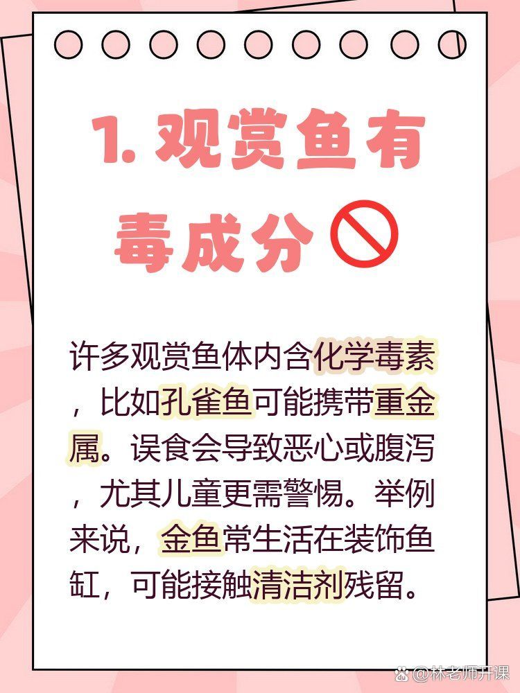 如何安全地食用紅龍魚，關于紅龍魚的問題
