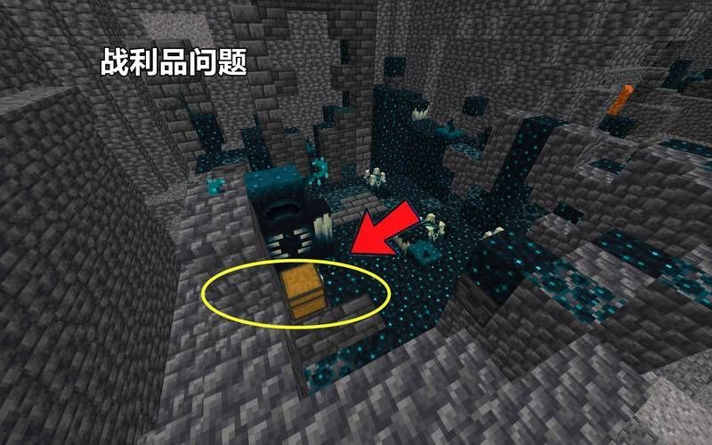 沙龍魚在游戲中的繁殖方式是什么,《我的世界》中的沙龍魚是什么?