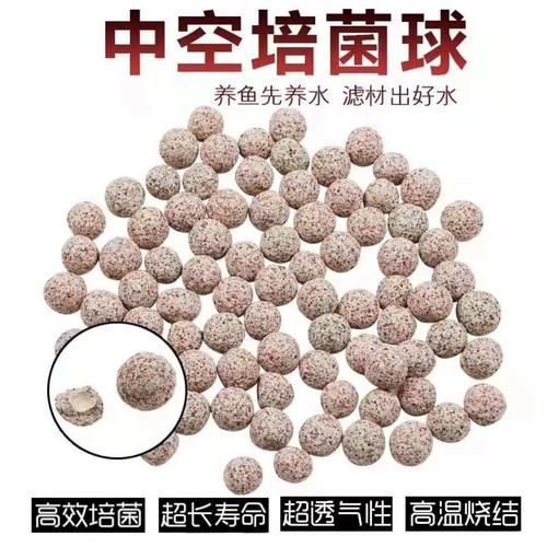 有哪些方法可以恢復魚缸菌群平衡，如何恢復魚缸生態平衡