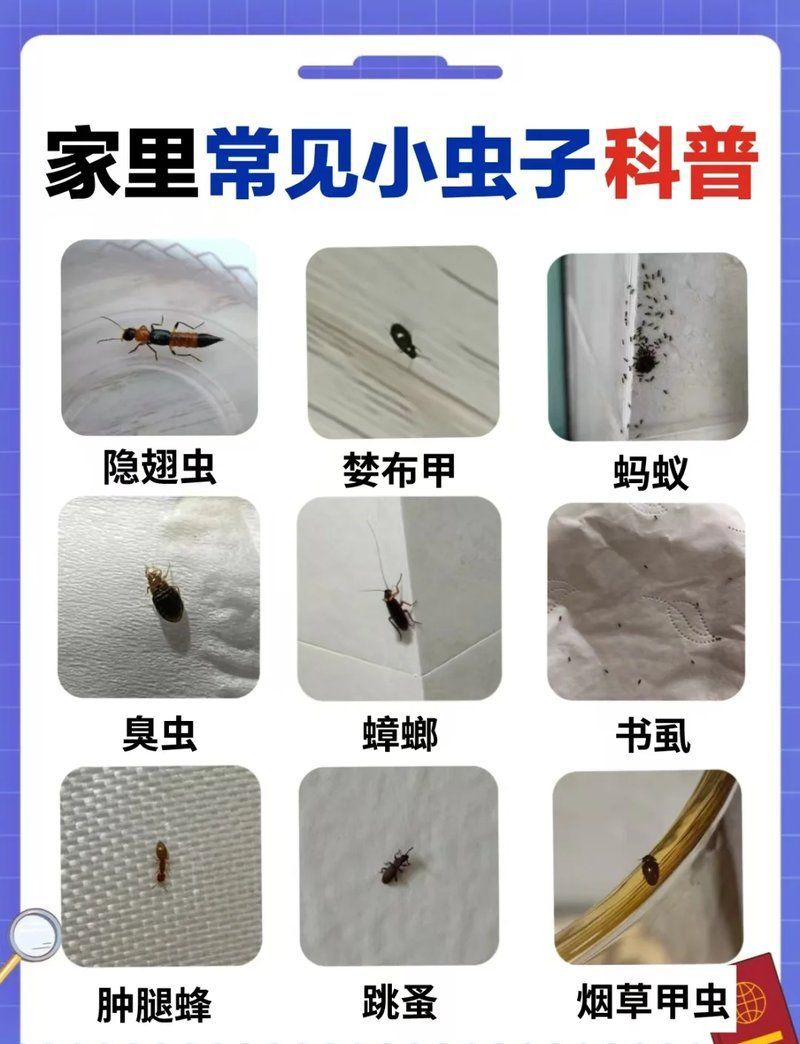 有哪些天然方法可以除蟲，天然除蟲方法多種多樣