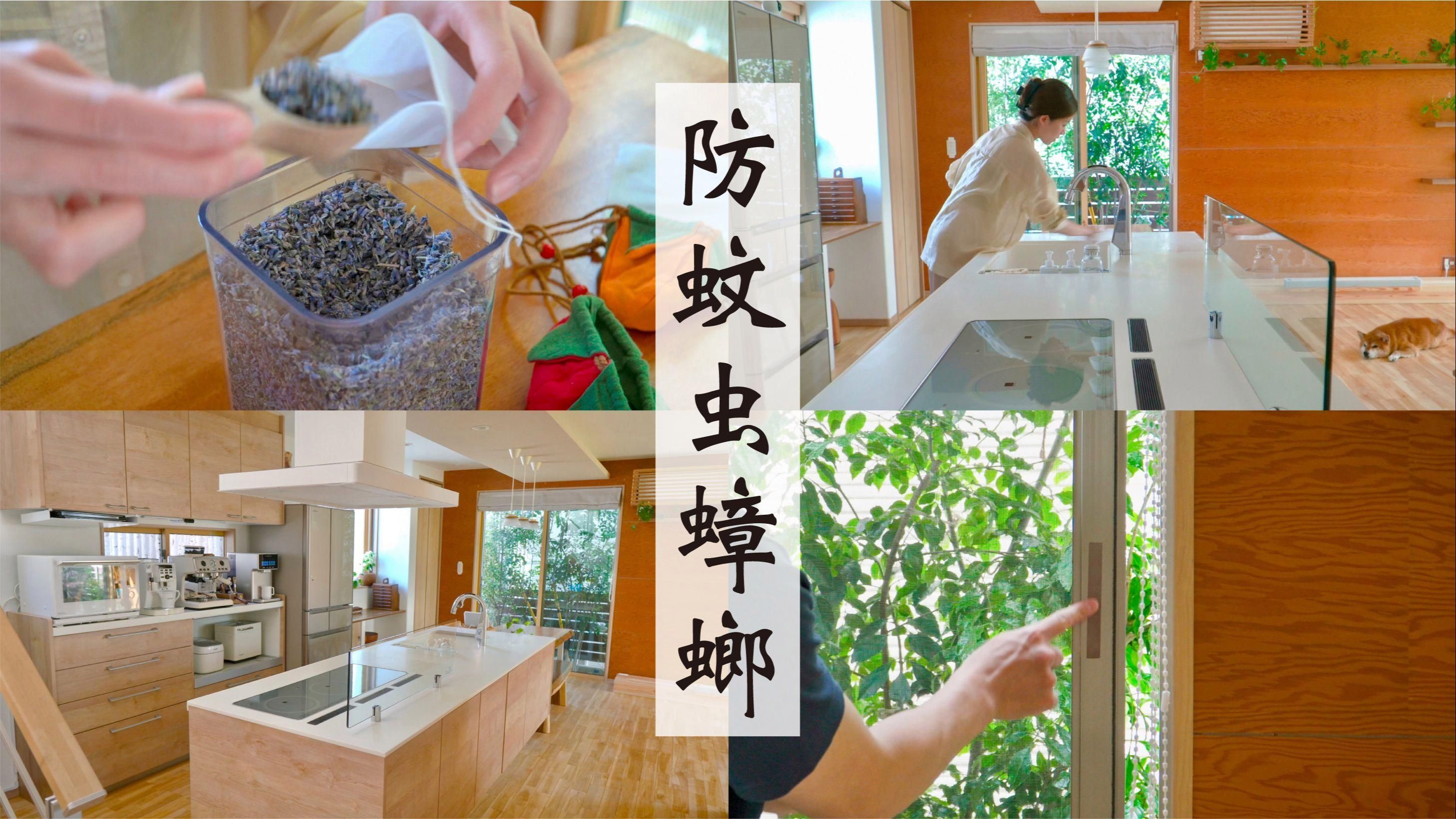 有哪些天然方法可以除蟲，天然除蟲方法多種多樣