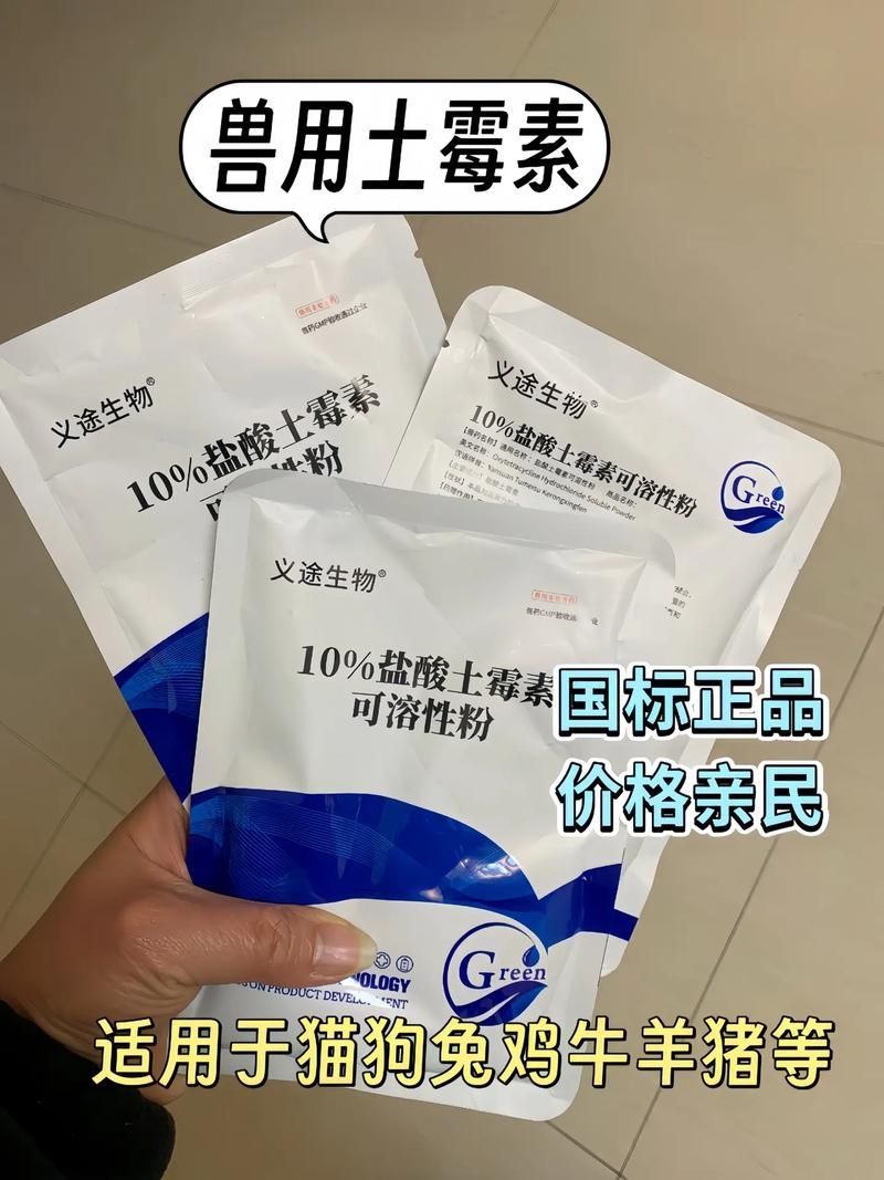 哪些藥物可以治療淡水龍魚疾病？，關于淡水龍魚疾病治療的一些建議