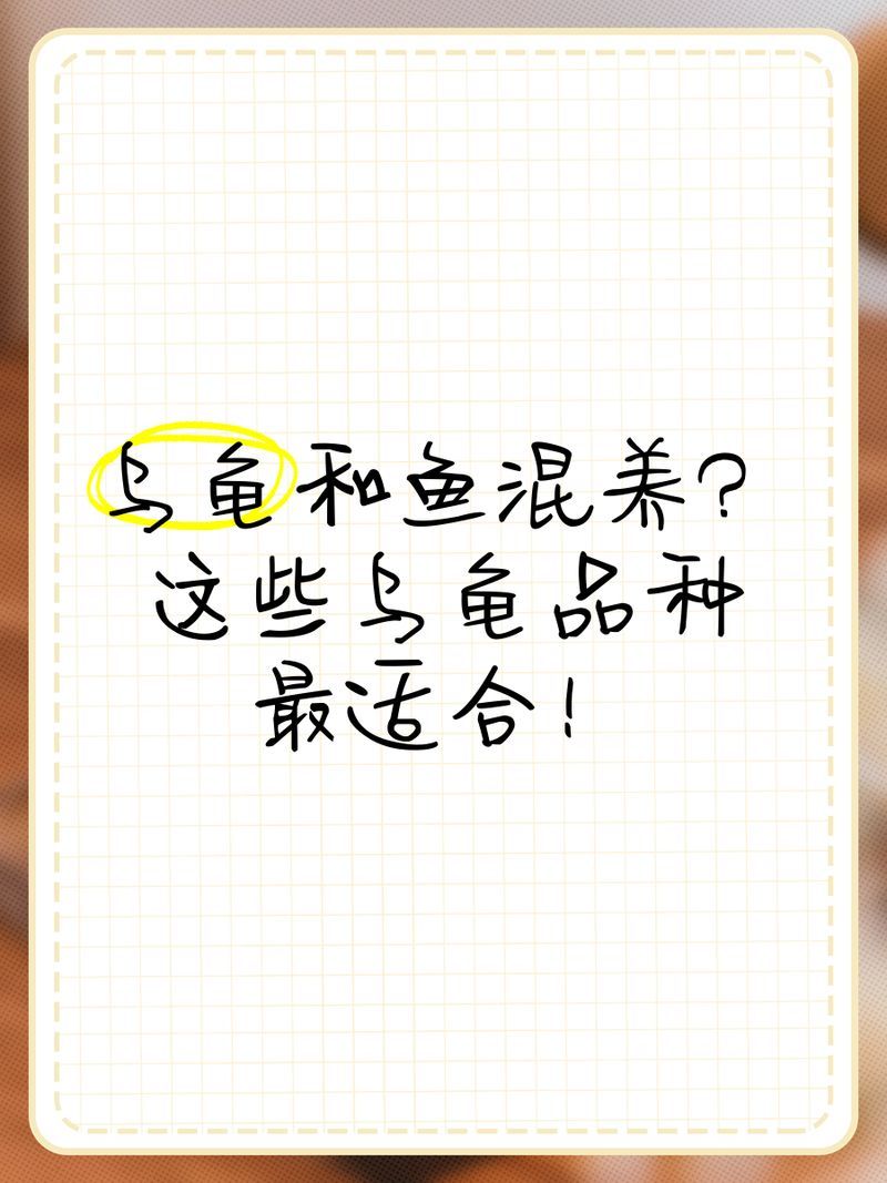 有哪些品種的烏龜適合與魚(yú)混養(yǎng)，盤(pán)點(diǎn)5種可以與魚(yú)混養(yǎng)的烏龜品種