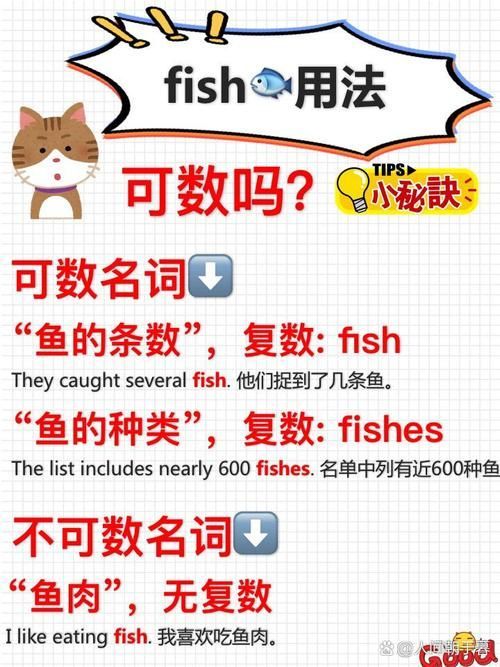 養(yǎng)9條魚有哪些注意事項，養(yǎng)9條魚有哪些注意事項思考完成,用戶要求詳解養(yǎng)9條魚的注意事項