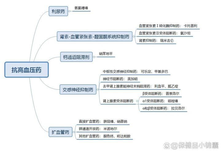 能再詳細解釋一下每種藥物治療方案嗎，-***注意事項**注意事項