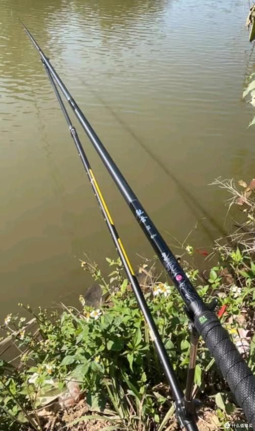 龍魚01魚竿適合釣什么魚？，龍魚01適合釣什么魚？
