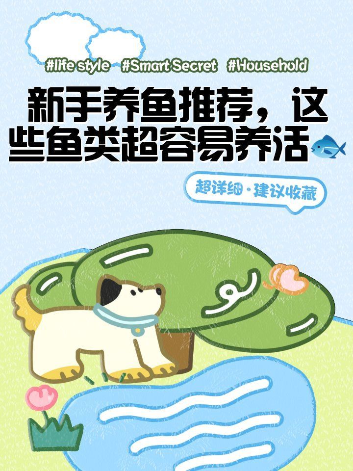 有哪些適合新手的養魚品種，尾巴搖搖屋，新手養魚推薦，這些魚類超容易養活？