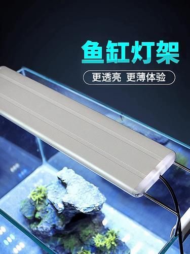 龍魚燈架和潛水燈的價格差異大嗎？，龍魚燈架與潛水燈的價格差異