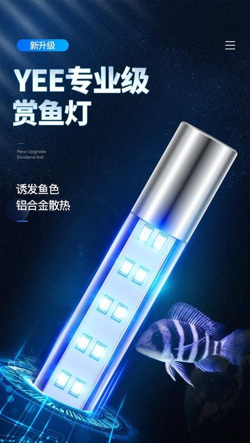 龍魚缸燈的最佳品牌推薦，龍魚缸燈品牌及其特點推薦龍魚缸燈品牌及其特點