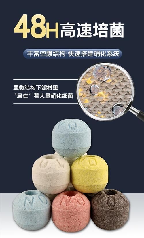 如何改善觀賞魚的水質(zhì)環(huán)境,-化學(xué)-化學(xué)-化學(xué)-化學(xué)-生物三層結(jié)構(gòu)圖