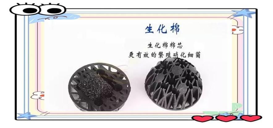 如何改善觀賞魚的水質(zhì)環(huán)境,-化學(xué)-化學(xué)-化學(xué)-化學(xué)-生物三層結(jié)構(gòu)圖