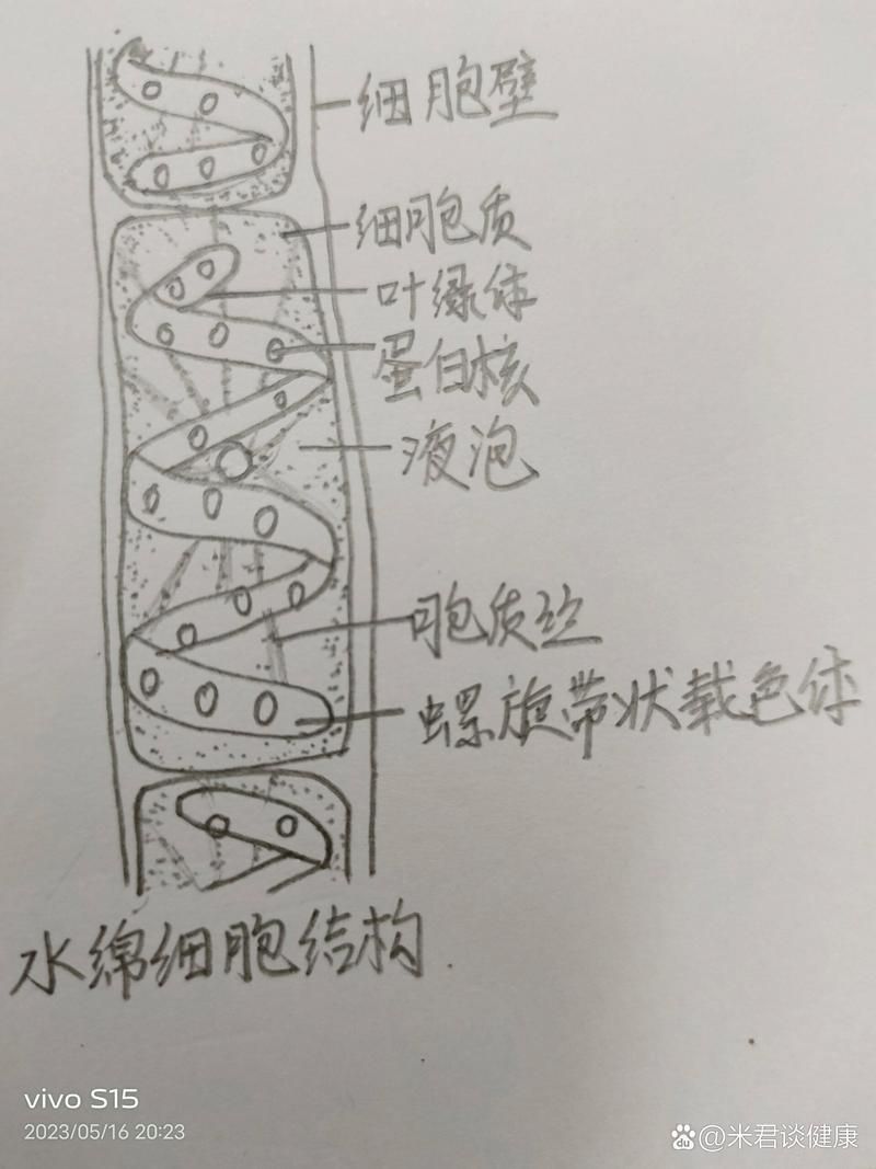 如何改善觀賞魚的水質(zhì)環(huán)境,-化學(xué)-化學(xué)-化學(xué)-化學(xué)-生物三層結(jié)構(gòu)圖