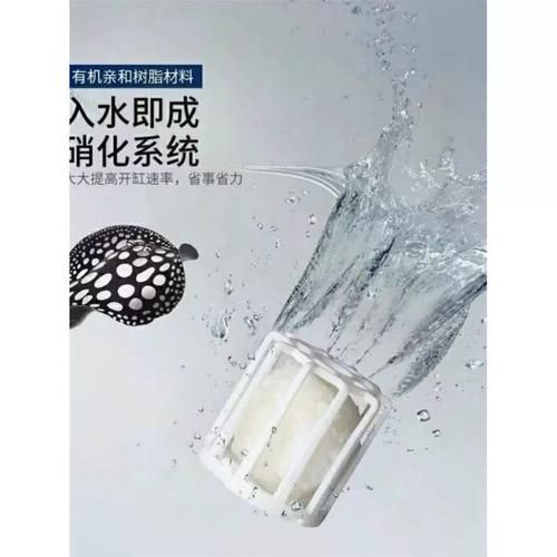 如何改善觀賞魚的水質(zhì)環(huán)境,-化學(xué)-化學(xué)-化學(xué)-化學(xué)-生物三層結(jié)構(gòu)圖
