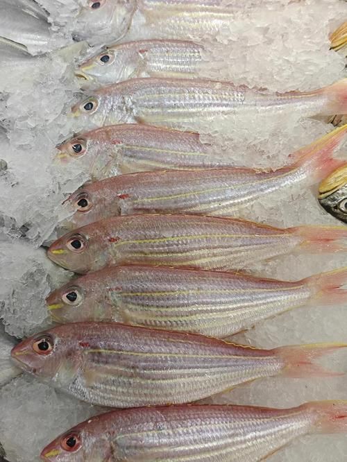 如何辨別金三間魚的品質？，如何辨別“金三間魚”