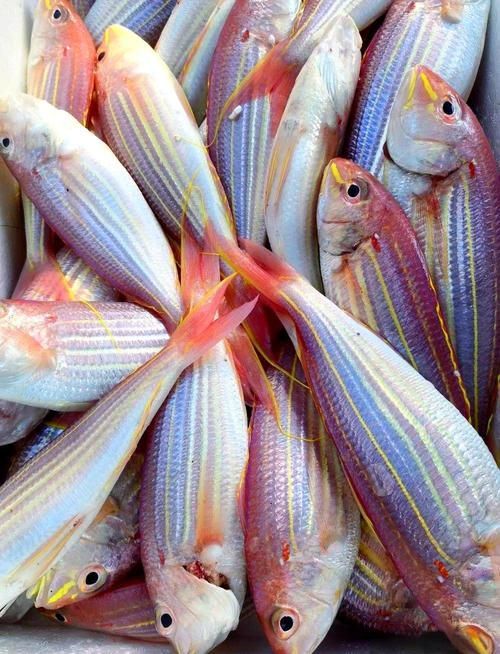 如何辨別金三間魚的品質？，如何辨別“金三間魚”