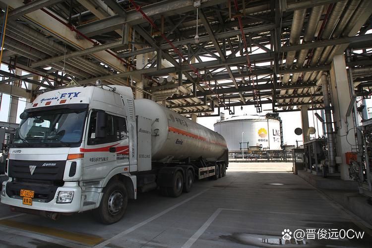 金龍魚上市后有哪些重大事件？，新加坡總理公開支持高市后金龍魚上市后有哪些重大事件