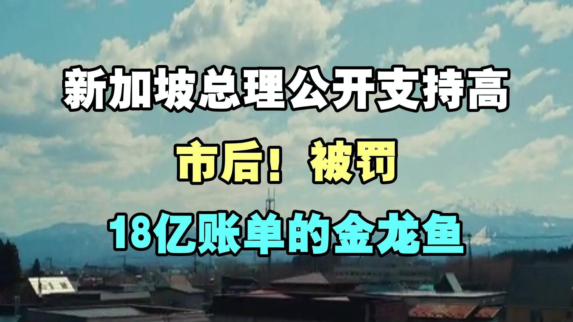 金龍魚上市后有哪些重大事件？，新加坡總理公開支持高市后金龍魚上市后有哪些重大事件