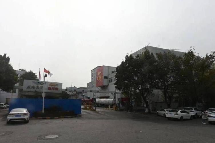 金龍魚上市后有哪些重大事件？，新加坡總理公開支持高市后金龍魚上市后有哪些重大事件
